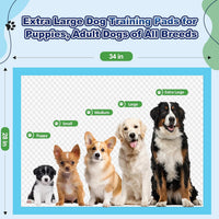 Puppy Pads XL 100 Count, Dog Pee Pads Extra Large - 34"×28" - 50 Count (Blue) - image 3