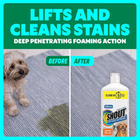 SHOUT Pet Stain Remover Spray - 24.3 Fl Oz (Pack of 1) / Squeeze - image 4