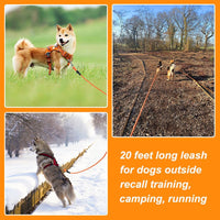 Vivifying Floating Long Dog Leash - 32ft / Orange - image 4