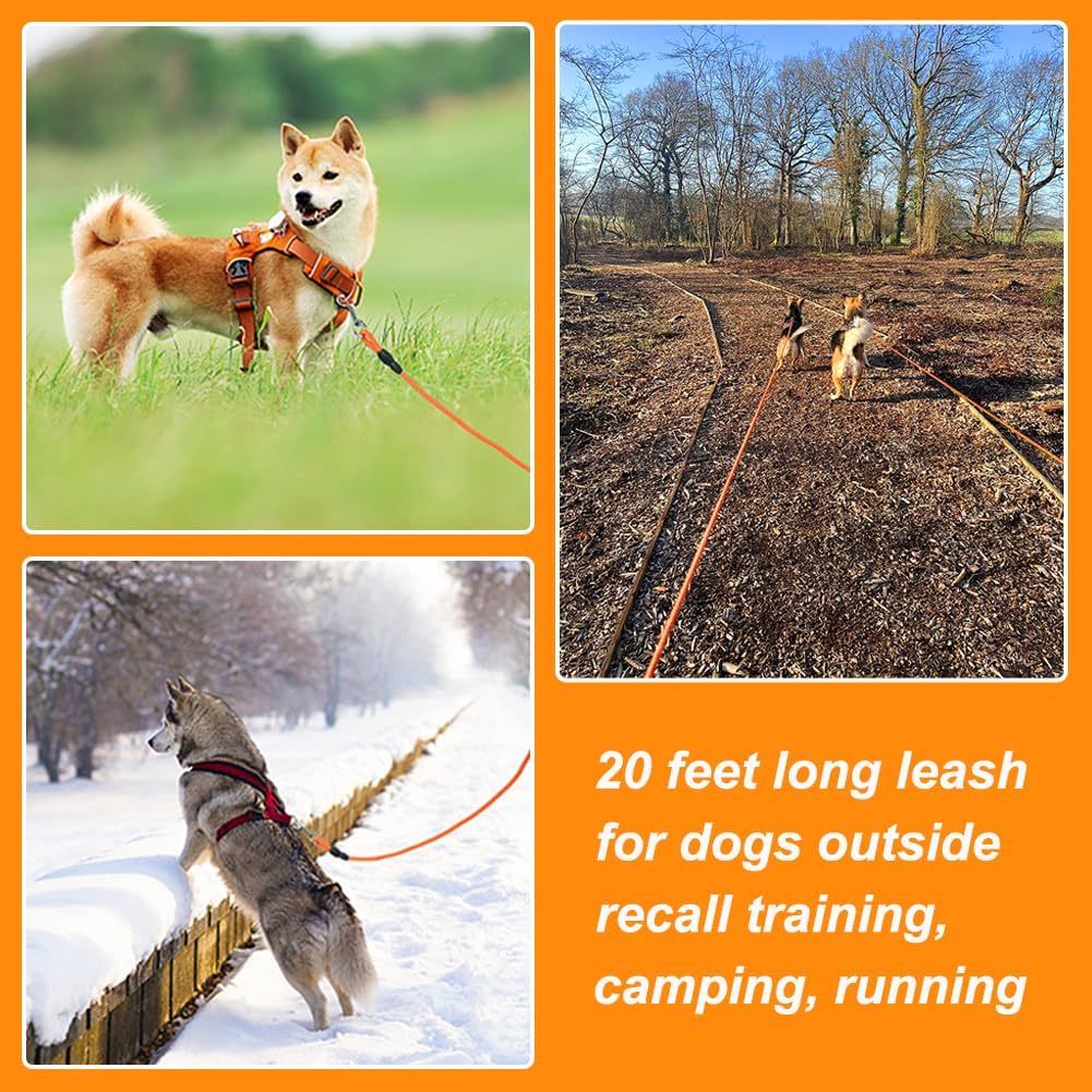 Vivifying Floating Long Dog Leash - 32ft / Orange - image 4
