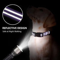 Martingale Collar for Dogs, Reflective Escape Proof, M - Purple / Medium - image 2