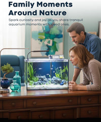 10 Gallon Aquarium Set Glass Fish Tank - 10 Gallon - image 4