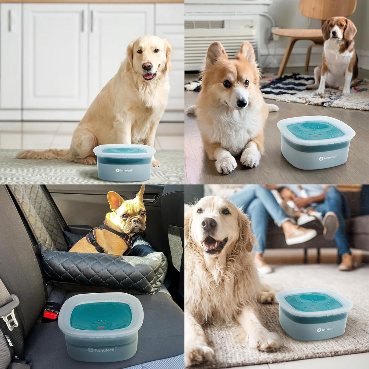 LumoLeaf No Spill Water Bowl for Dogs - Blue / 70 fl oz - image 3