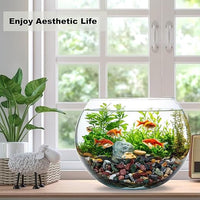 45LB Succulents Rocks for Plants Cactus Gravel Pebbles for Fish Tank 1/2 Inch Natural River Rocks for Vase, Aquarium, Landscaping,Bonsai,Terrarium Pebbles, Mixed Color
