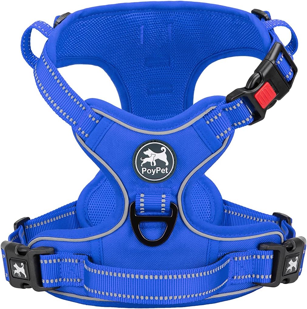 PoyPet No Pull Dog Harness Medium with Front Clip & Neck Release - XL / Royal Blue