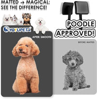 Large Slicker Brush for Dogs - 3PC Pet Grooming Kit - Undercoat Rake & Stainless Comb | Long Pins Remove Mats on Poodles, Golden, Labradoodles | Thick Coat Deshedder for Dogs, Cats, Black