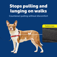 PetSafe Easy Walk Deluxe Dog Harness, No Pull Dog Harness - Medium / Rose Red - image 3
