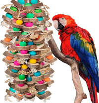 Parrot Toys for Large Birds