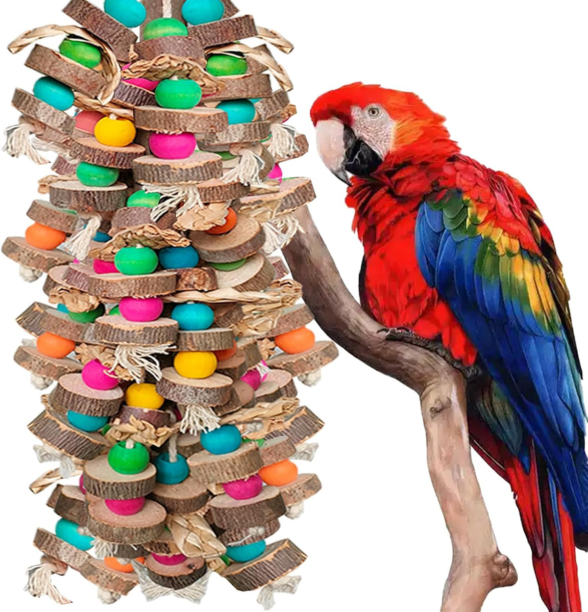 Parrot Toys for Large Birds
