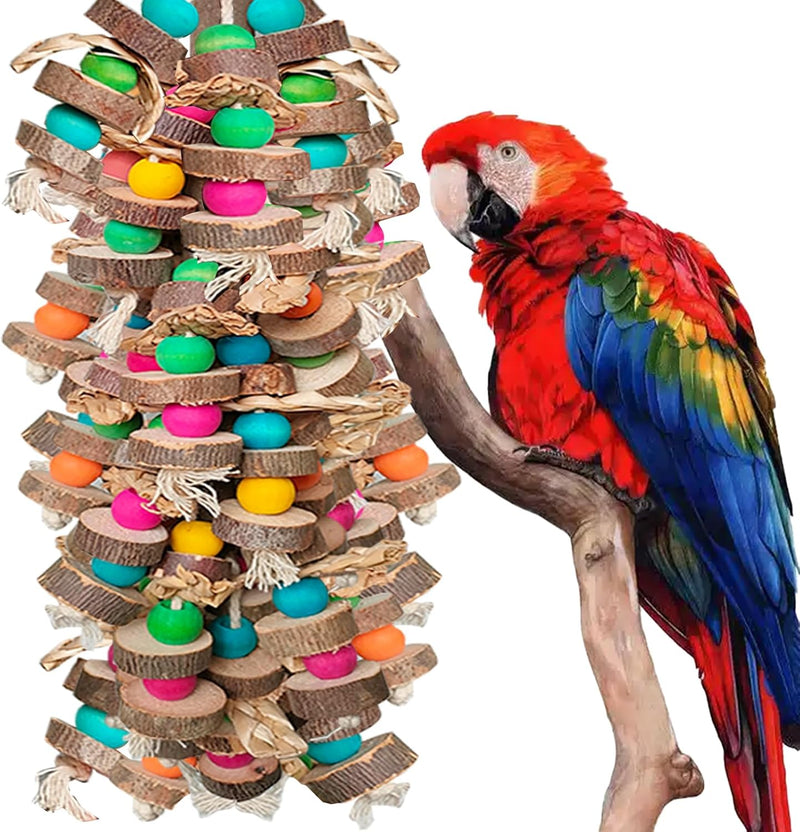 Parrot Toys for Large Birds
