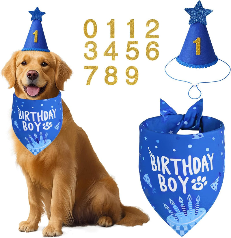 Blue Dog Birthday Party Supplies with Hat Bandana Numbers – Essentials for Dogs - Blue-set / X-Large