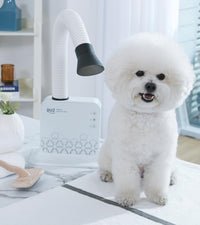 DUZ V2 Super Quiet Hands-Free Pet Dryer: Low-Noise Dog Dryer - image 3