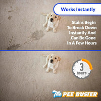 Generic Peebuster Pet Stain & Odor Remover - Cleaning Spray for Dog and Cat Urine, 1 Count (Pack of 1)