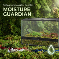 Sukh Sphagnum Moss for Reptiles, Green Terrarium Moss Substrate - 6.3 Ounces / Green - image 3
