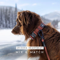 MADE TO ROAM Premium Explorer Leash - Montana Moonrise / 4 Feet - image 4