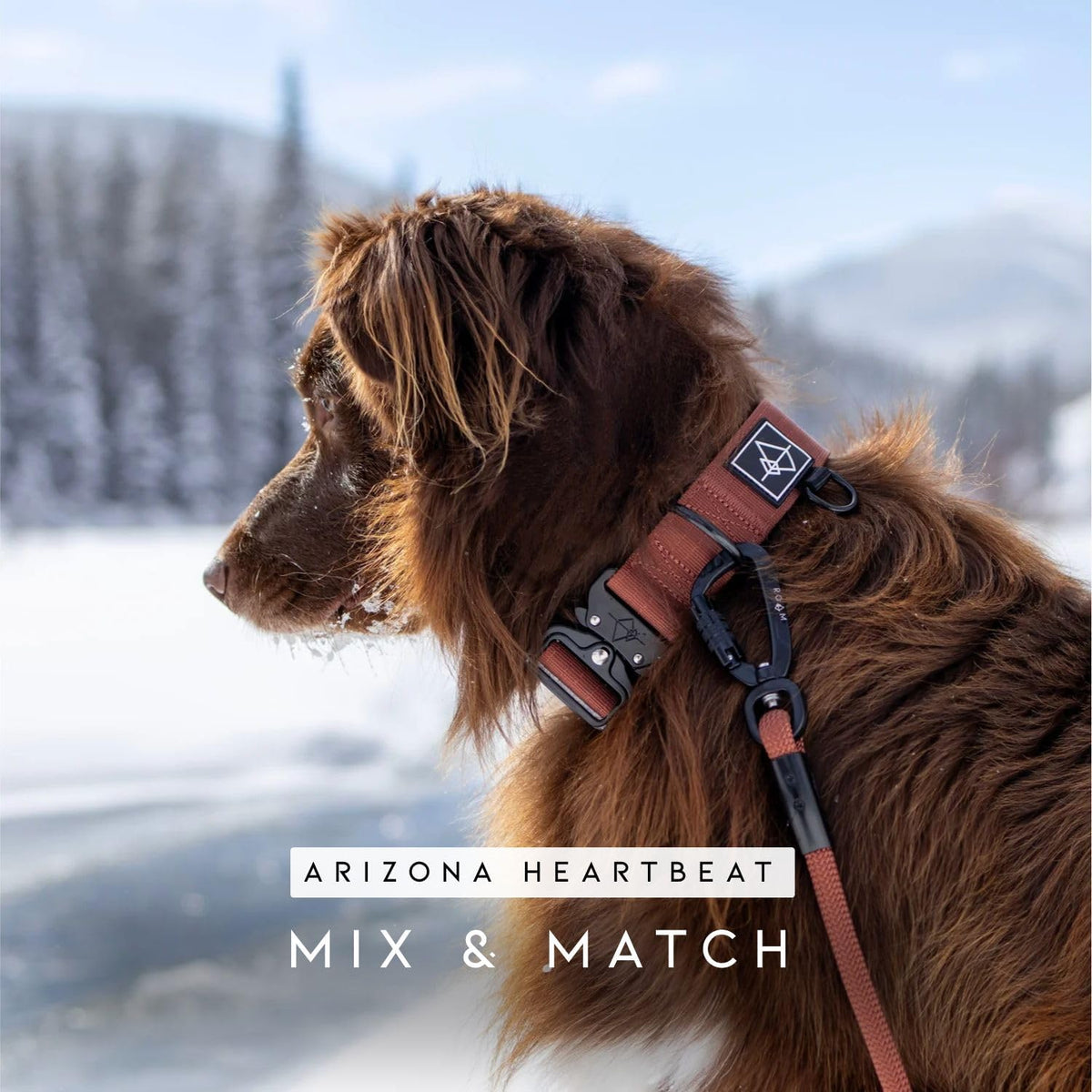 MADE TO ROAM Premium Explorer Leash - Montana Moonrise / 4 Feet - image 4