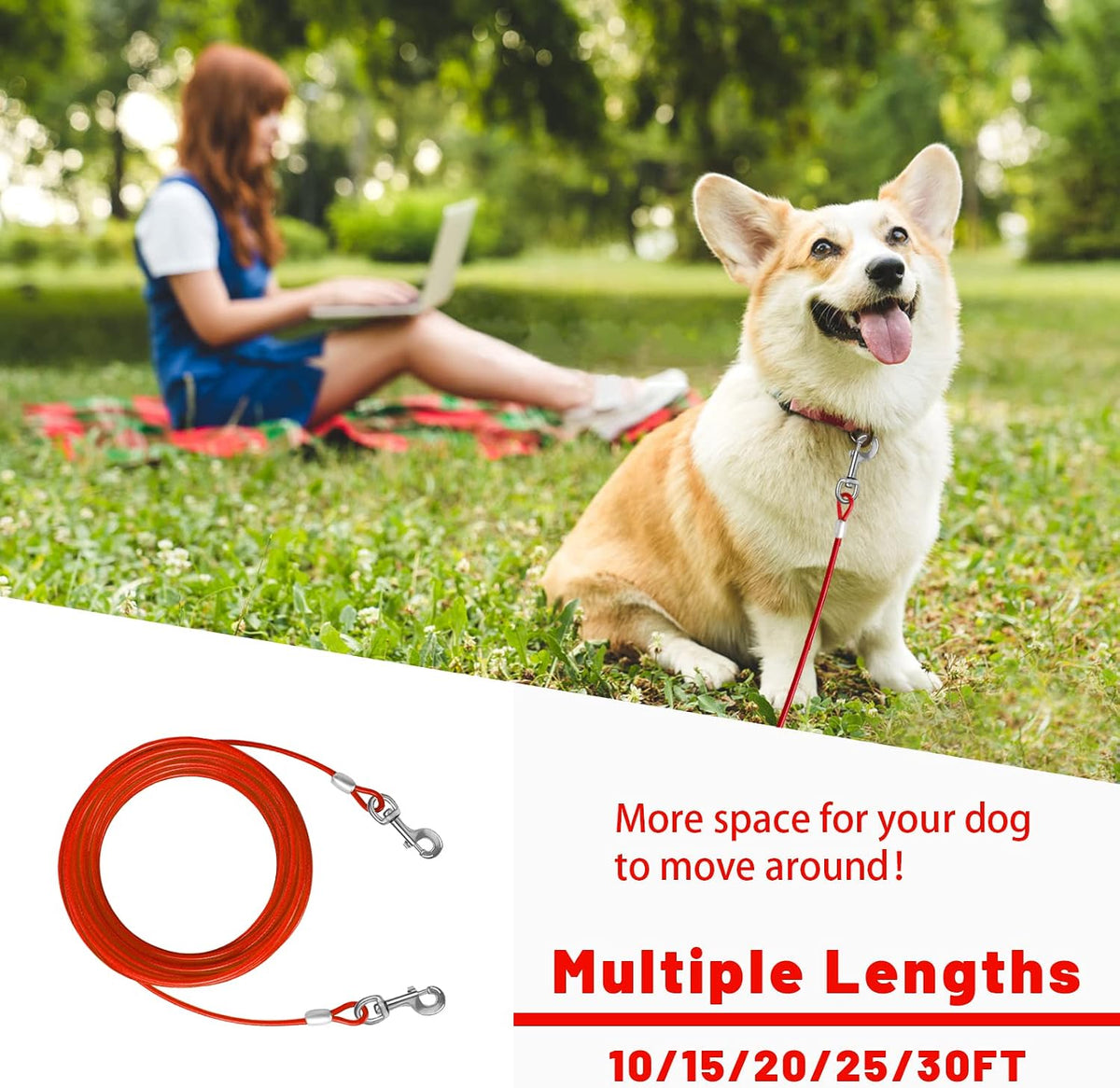 Dog Tie Out Cable, Dog Runner Cable – Essentials for Dogs - 10FT / Red - image 4