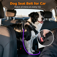Dog Seat Belt for Car, Durable Rope Dog Car Harness for Vehicle – Essentials for Dogs - Purple / 1 Pack - image 3