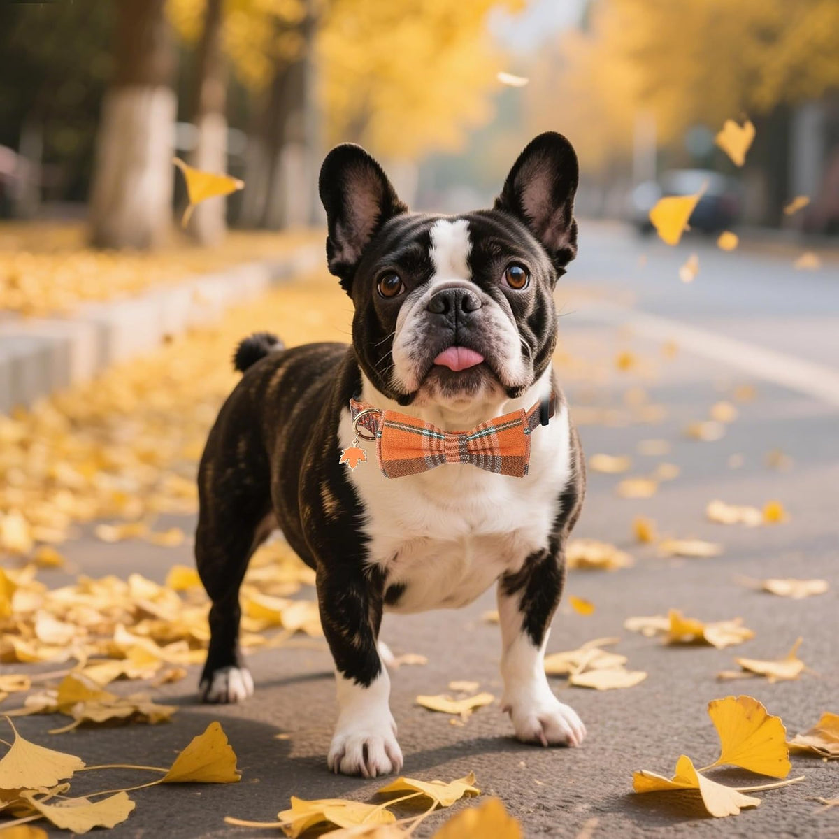 ADOGGYGO Fall Plaid Dog Collar 2 Pack, Thanksgiving Dog Bow Tie - X-Small / Fall Bow - image 3