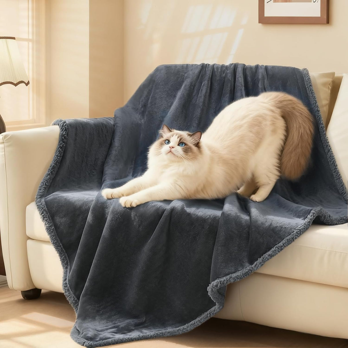 Luciphia Waterproof Pet Blanket - M (57" x40") / Grey