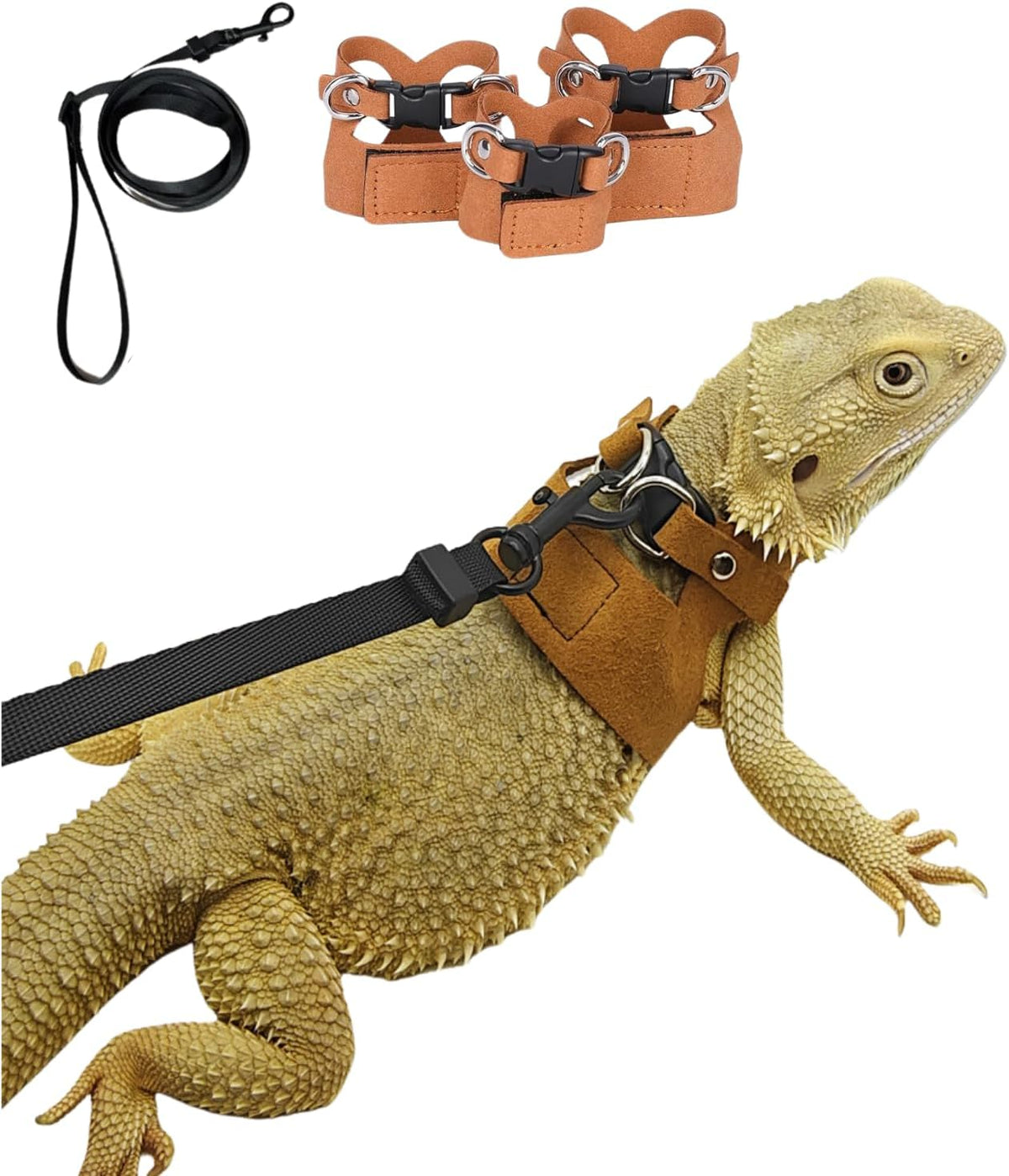 3 Pack Bearded Dragon Harness and Leash Set - Brown