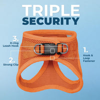 Voyager Step-in Air Cat Harness & Leash Set, XS - Orange / S (Chest: 14 - 16") - image 2