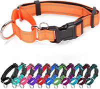 Reflective Martingale Dog Collars. Dog Collar with Quick Release - L:1" Wide for 18.5"-26.5" Neck / Orange
