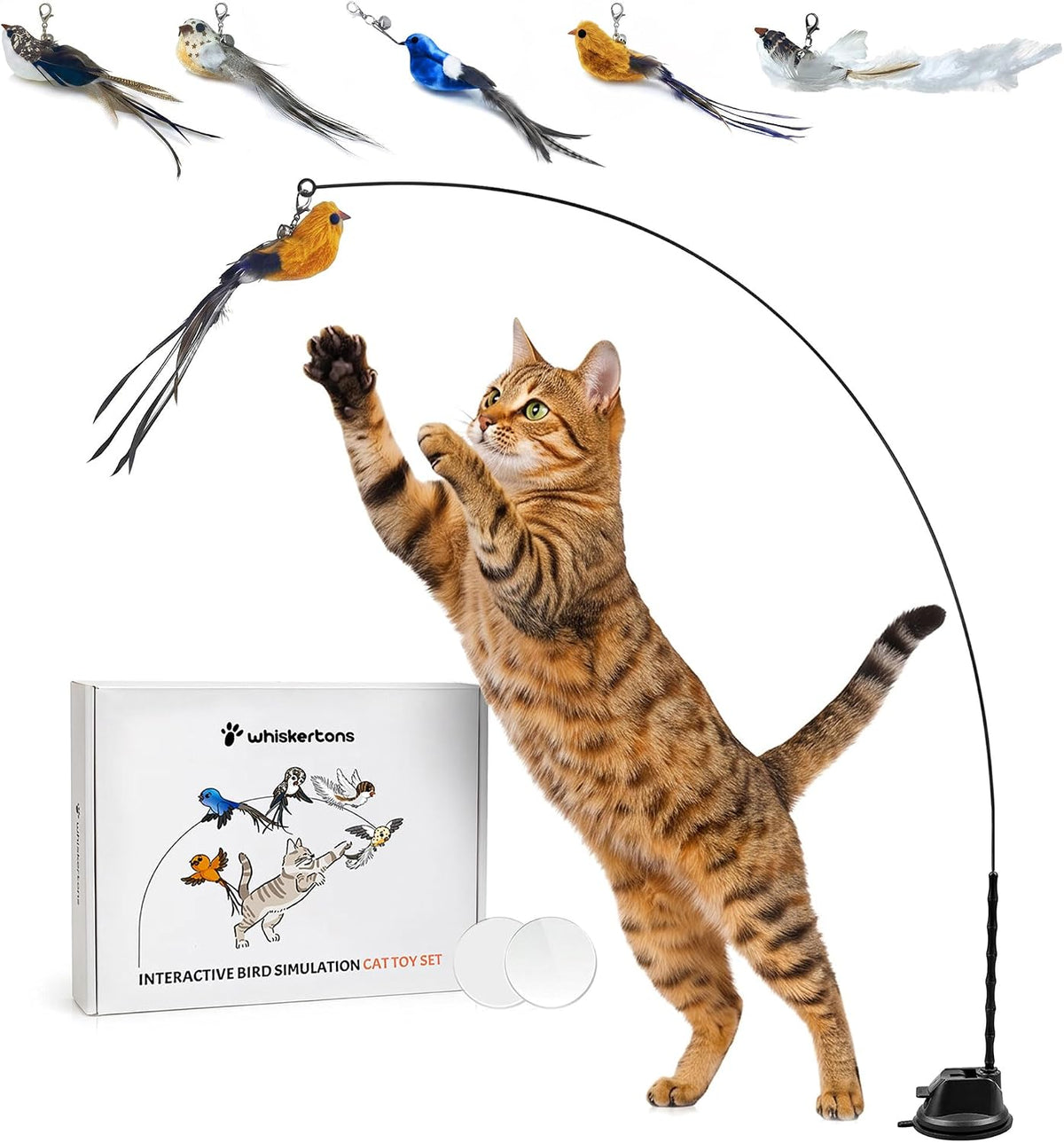 Whiskertons Interactive Bird Simulation Cat Toy Set - Bird Toy Set