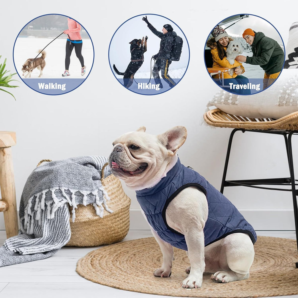 Winter Dog Vest Coat with Harness Built in – Essentials for Dogs - #1 Rolay Bule-Matte / L(Chest 19")-Regular - image 3