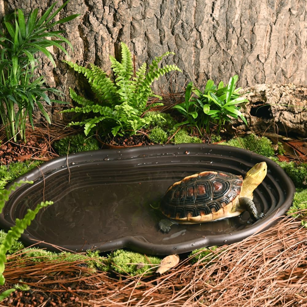 Extra Large Reptile Bathing Pool Reptile Feeding Dish Water Bowl - Black - image 2