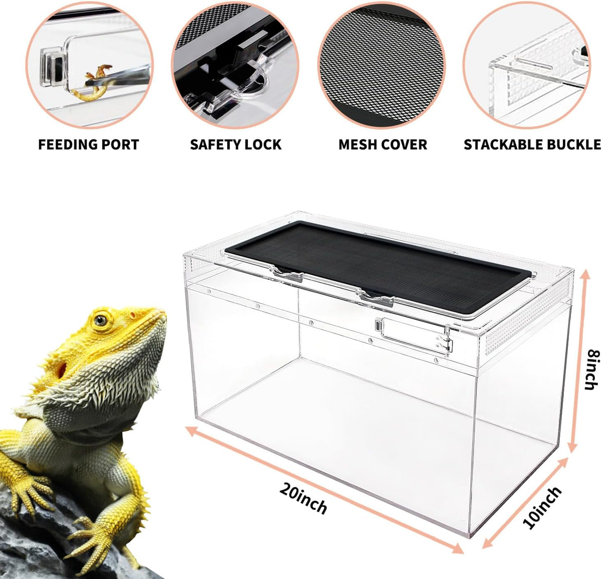 Reptile Growth Reptile Terrarium - 20" x 10"x 8" - image 3