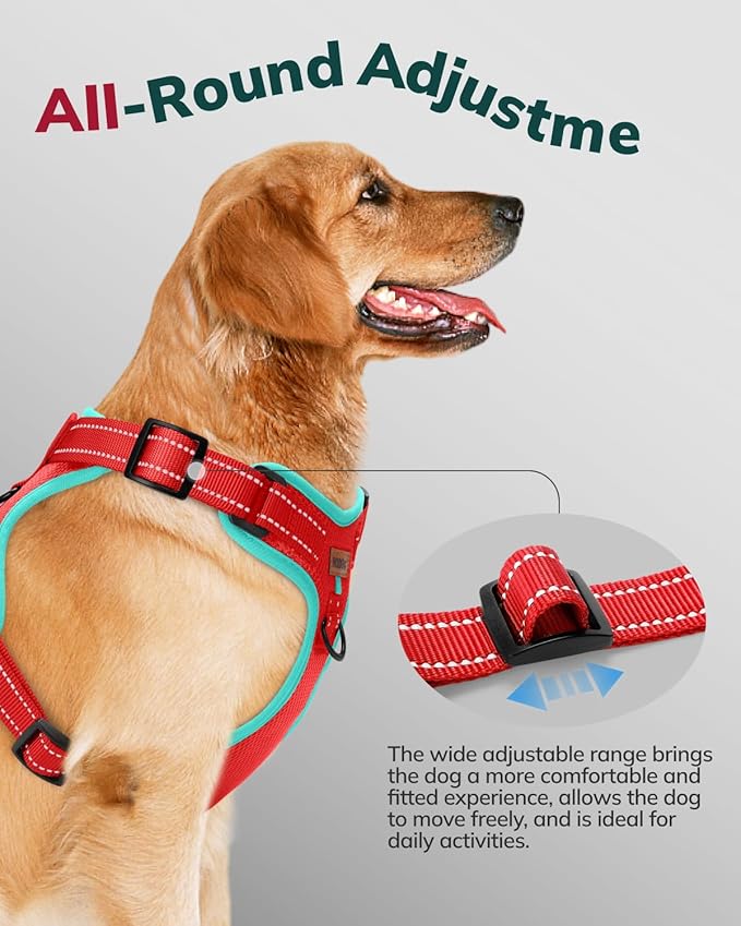 MIDOG No-Pull Dog Harness | Adjustable & Reflective Pet Harness Leash Set for Small Medium Large Dogs Walking, Training| No Choke, Front Clip, Soft Padded Vest with Easy Control Handle - Red, L