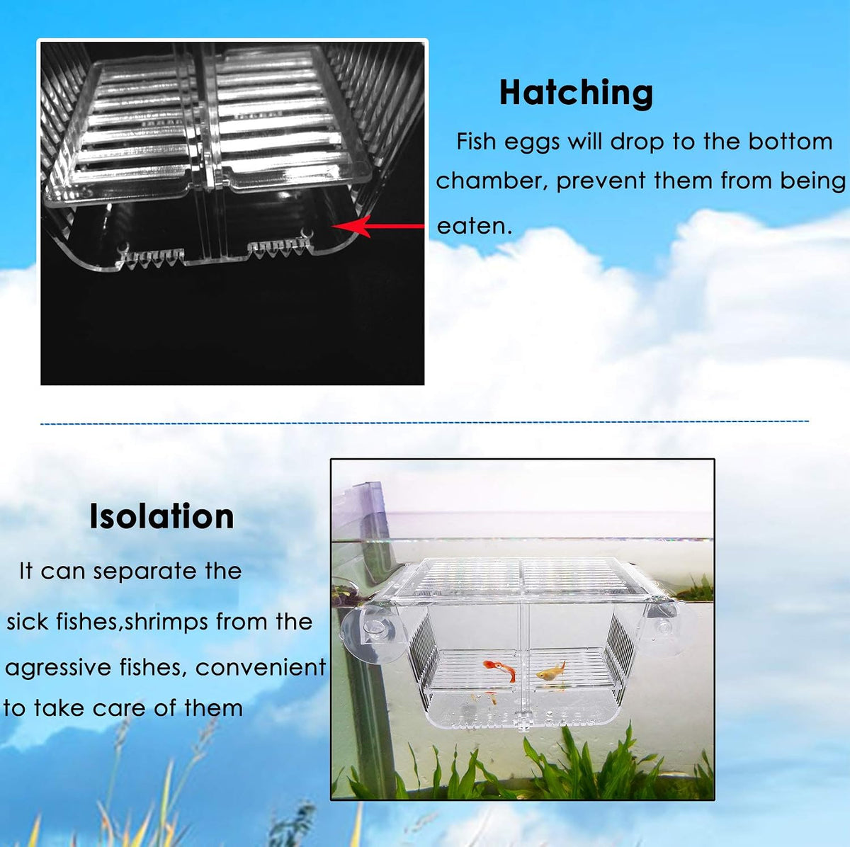 capetsma Fish Breeding Box - S - image 2