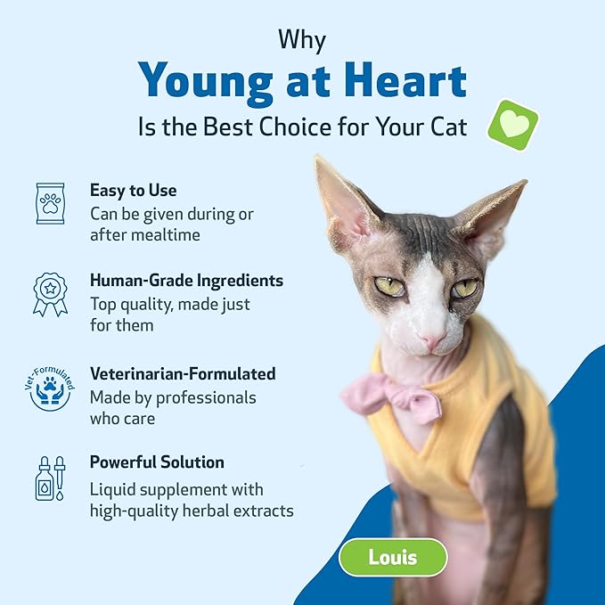 Pet Wellbeing Young at Heart for Cats - Heart Health, Circulatory & Cardiovascular System, Hawthorn, Motherwort, Schisandra - Veterinarian-Formulated Herbal Supplement 4 oz (118 ml)