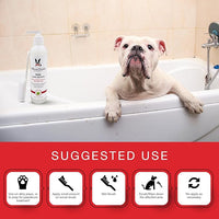Warren London Paw Scrub – Deep Cleaning Paw & Nail Cleanser with Aloe Vera – Removes Dirt & Grime – Includes Scrub Brush – Made in USA - 8 oz
