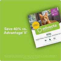 Plus Flea Prevention for Cats, Cat and Kitten Treatment & Control, Small and Large, Fast Acting Waterproof Topical Drops, 2 Month Supply