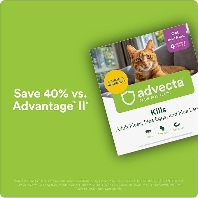 Plus Flea Prevention for Cats, Cat and Kitten Treatment & Control, Small and Large, Fast Acting Waterproof Topical Drops, 2 Month Supply