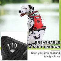 WINSEE Dog/Pet Harnesses No Pull with Dog Collar - Small / Red - image 2
