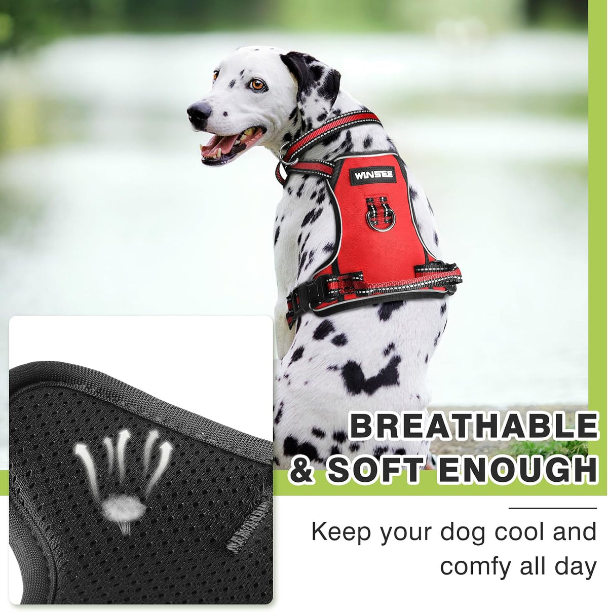 WINSEE Dog/Pet Harnesses No Pull with Dog Collar - Small / Red - image 2