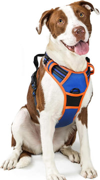 rabbitgoo Dog Harness No Pull with 2 Leash Clips, Adjustable Soft Padded, Reflective Oxford No Choke Pet Vest with Easy Control Handle for Large Dogs, Blue & Orange, L