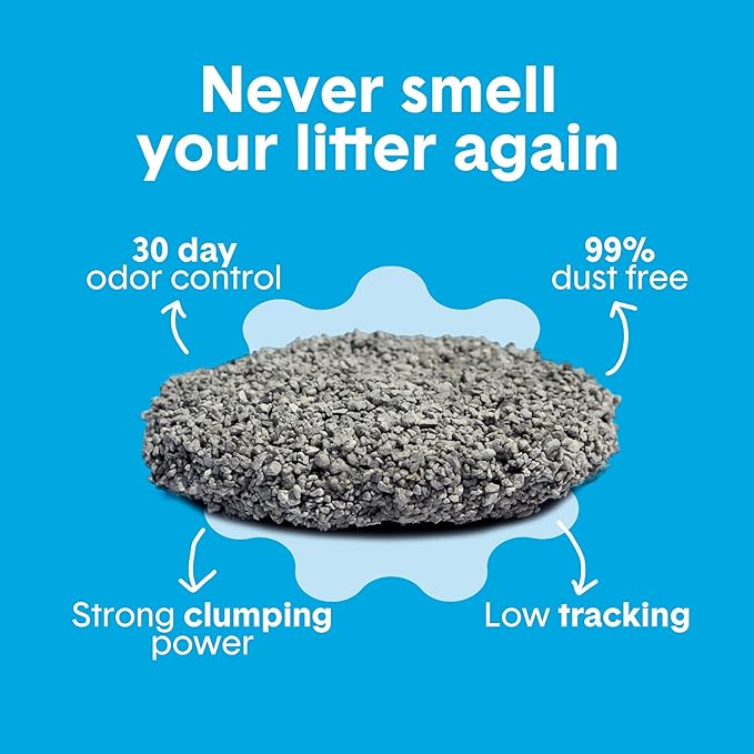 Boxie® Unscented 30 Day Odour Control Clumping Clay Cat & Kitty Litter 28 lb, 99.9% Dust-Free, Hard Flat Top® Clumps, No Fragrances No Fillers, Long-Lasting, Easy to Scoop