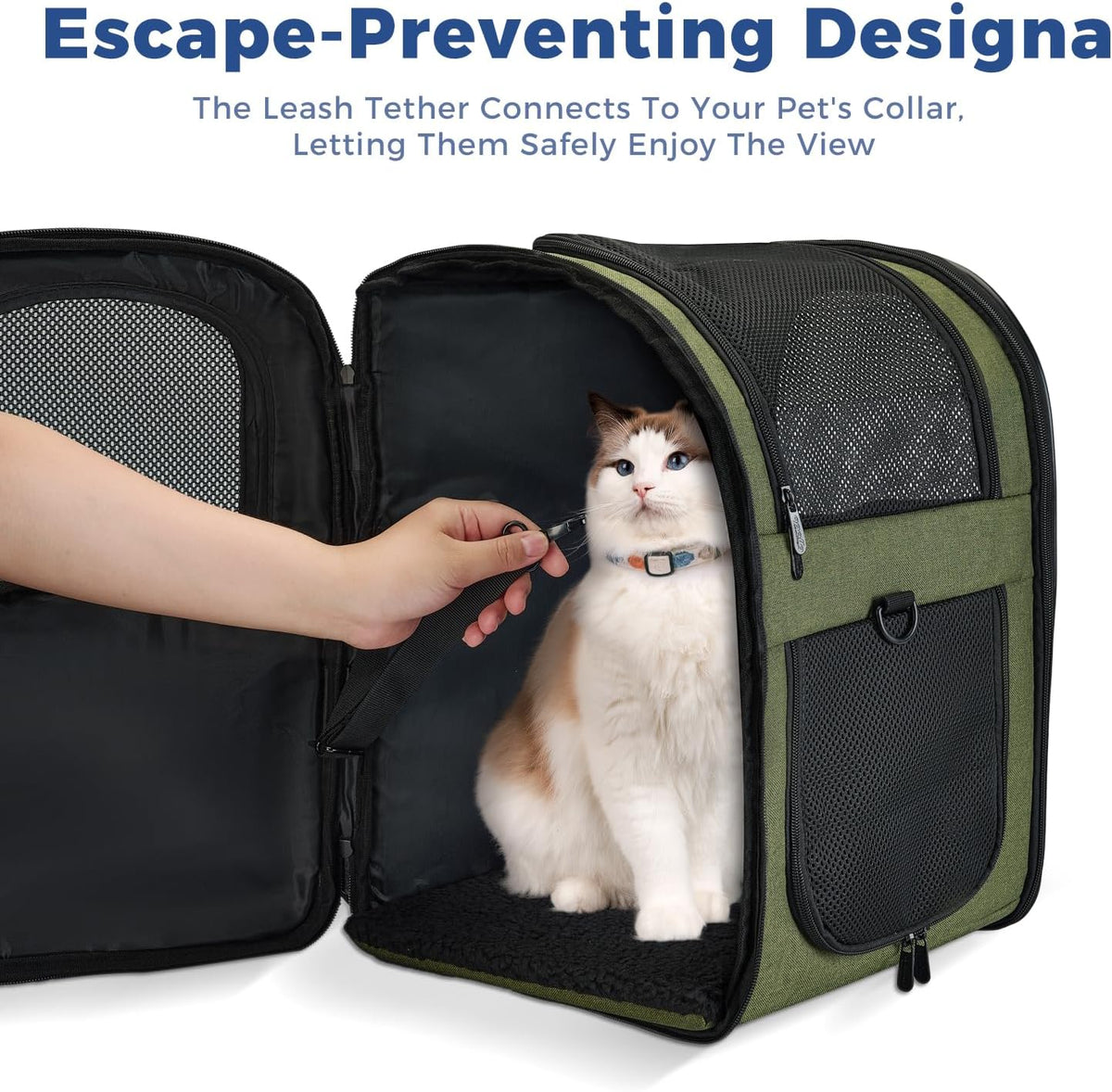 Apollo Walker Cat Backpack Carrier, Support Frame - Green / Medium-Standard - image 3