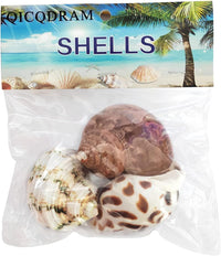 QICQDRAM 3PCS Hermit Crab Shells 1-1.3'' Opening Seashells Replacement – Essentials for Fish - image 4