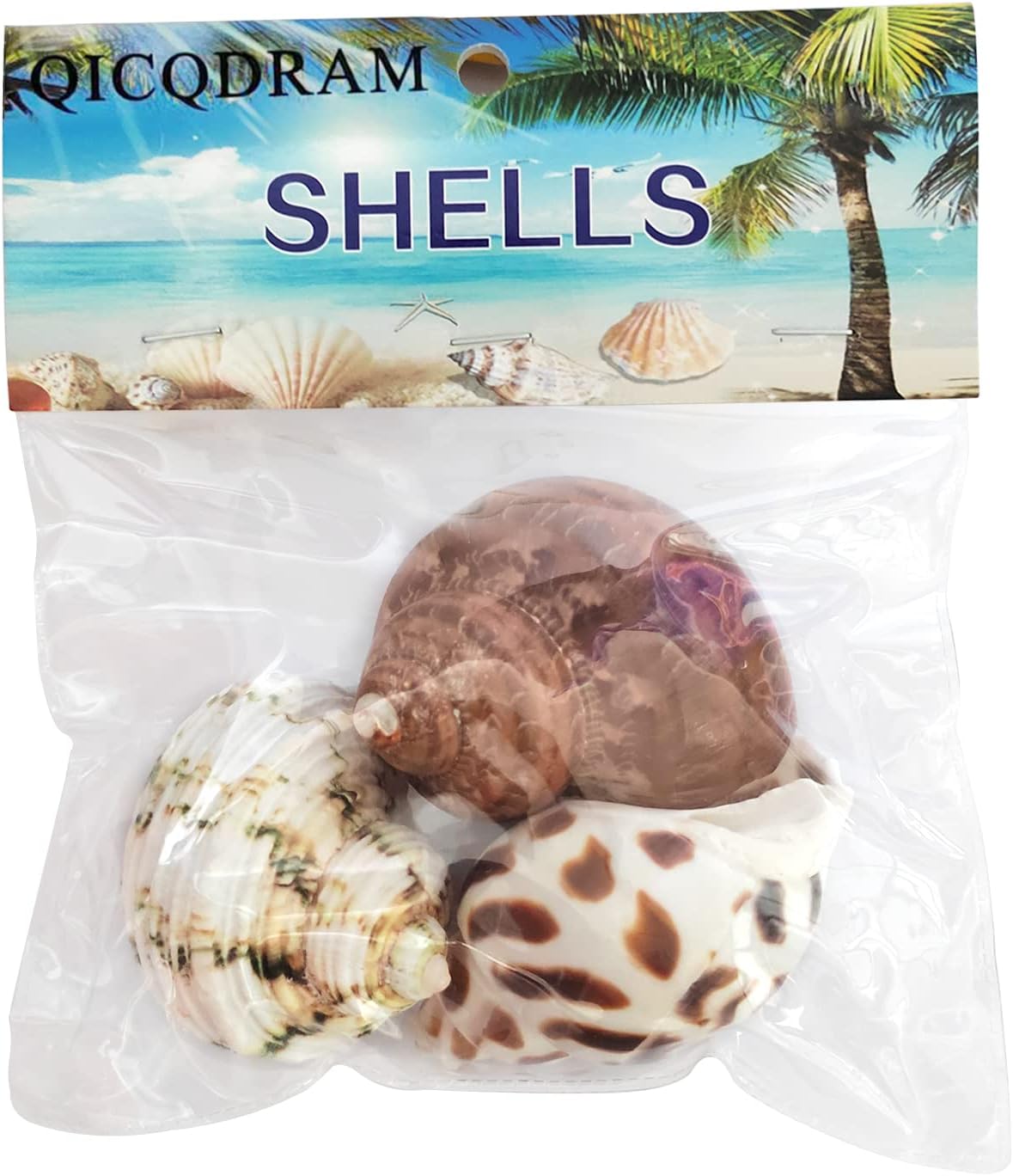 QICQDRAM 3PCS Hermit Crab Shells 1-1.3'' Opening Seashells Replacement – Essentials for Fish - image 4