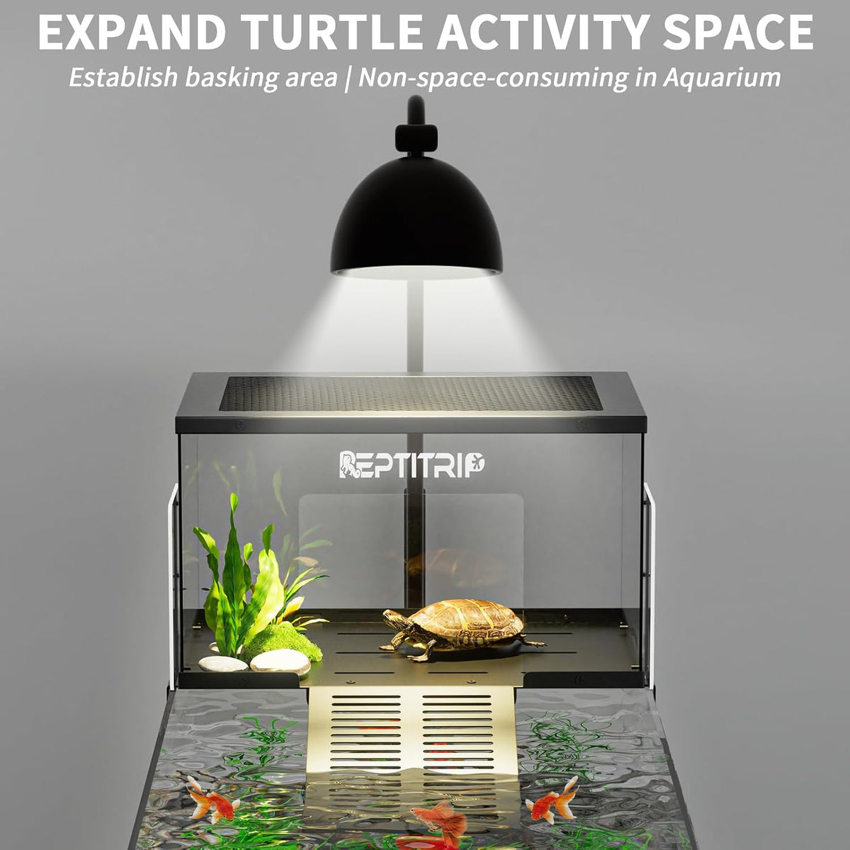 Stainless Steel Turtle Basking Platform - Large - image 4