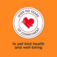 Kaytee Fiesta Big Bites Small Parrot & Conure Food, Nutritious and Fun Blend, Supports Skin, Feather, Digestion, Brain and Heart Health, 4 pounds