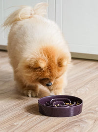 LE TAUCI Ceramic Slow Feeder Dog Bowls Small Breed - Maze Purple / S-0.6 Cups - image 2