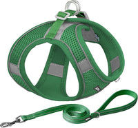 AIITLE Small Dog Harness and Leash Set, Step-in Puppy Pet Vest - M(Chest: 16 - 18") / Green