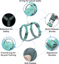 Plutus Pet No Pull Dog Harness - XL / Teal - image 2