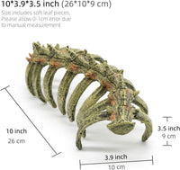 relaqcc Aquarium Skull Animal Skeletons - image 2